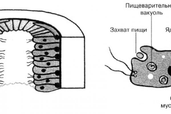 Кракен сайт биз