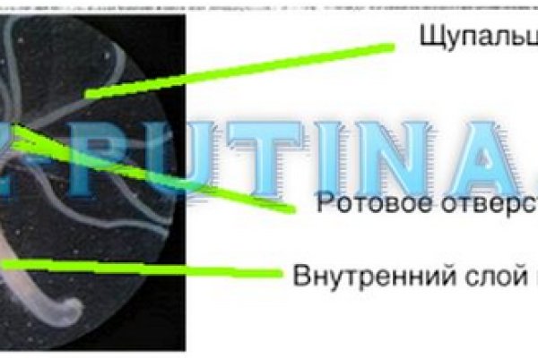 Как купить наркотик в кракен